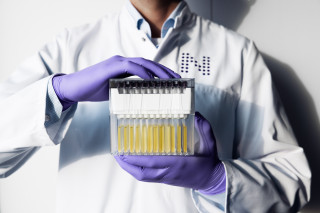 NGH Lab 31