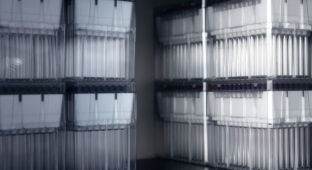Multiple laboratory sample racks on the shelf.