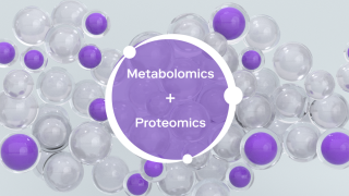 Metabolomics and proteomics combined for multi-omics biomarker analysis, illustration.